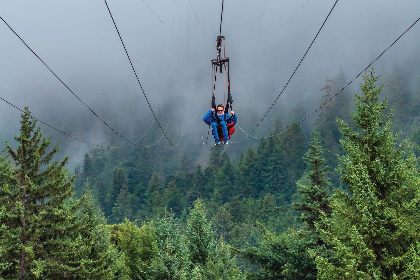 Zip Flying – Enjoy The Stunning View