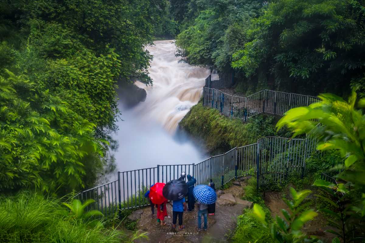 Devis Fall